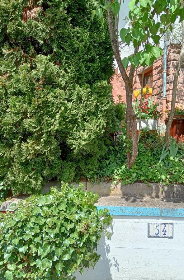 Casa La Collina Delle Ginestre Apartment Ебербах Екстериор снимка