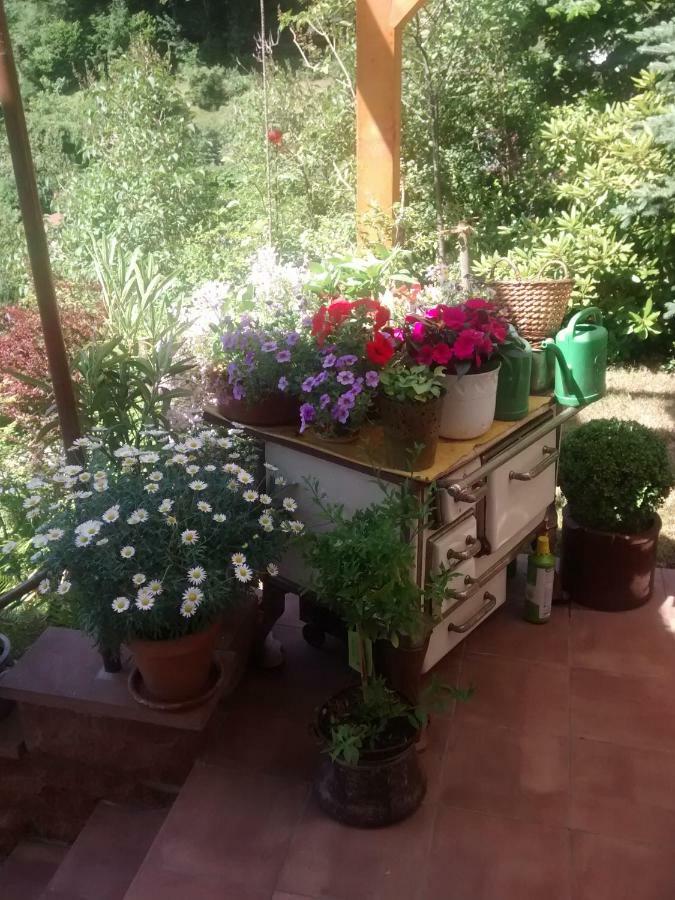 Casa La Collina Delle Ginestre Apartment Ебербах Екстериор снимка